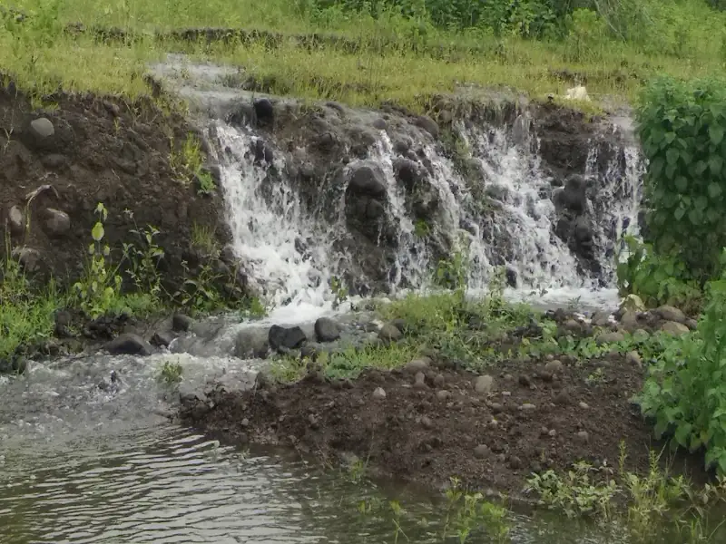 New Jalpaiguri to Dhondhu Waterfall Cab